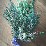 Διαμέρισμα Timo & Rosmarino Anfo